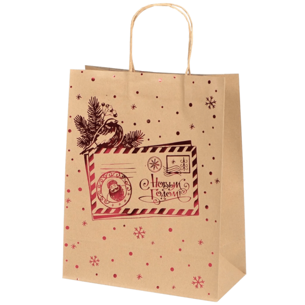 Christmas Paper Bag-