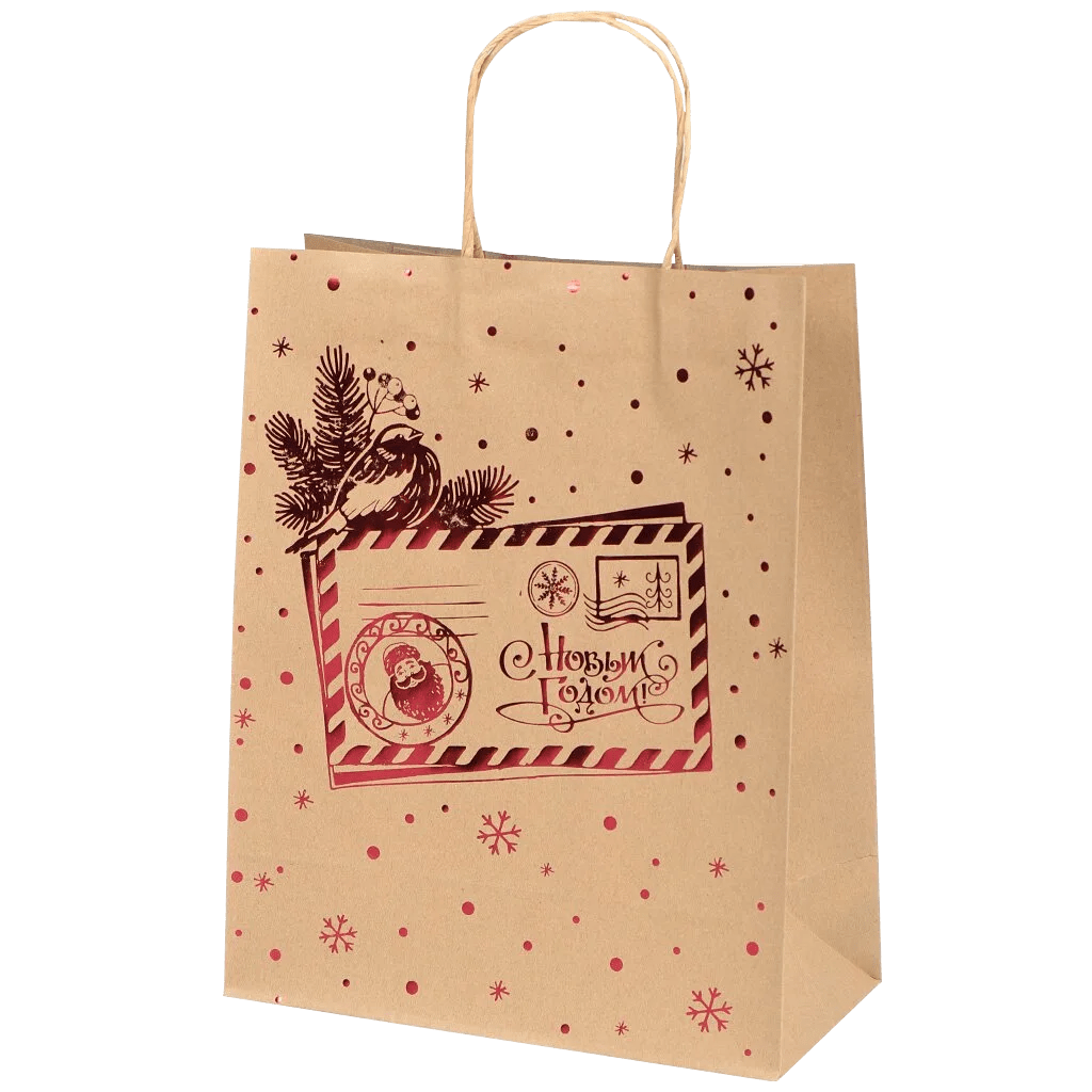 Christmas Paper Bag-2-min