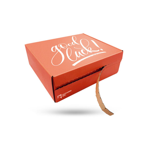 zipper mailer boxes UK