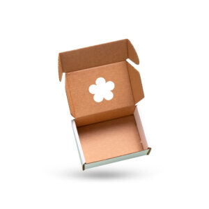 die cut mailer boxes